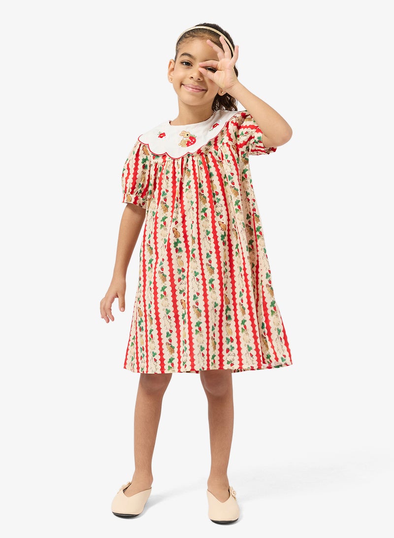 Pinata Embroidered Collar Printed Dress - Image 1